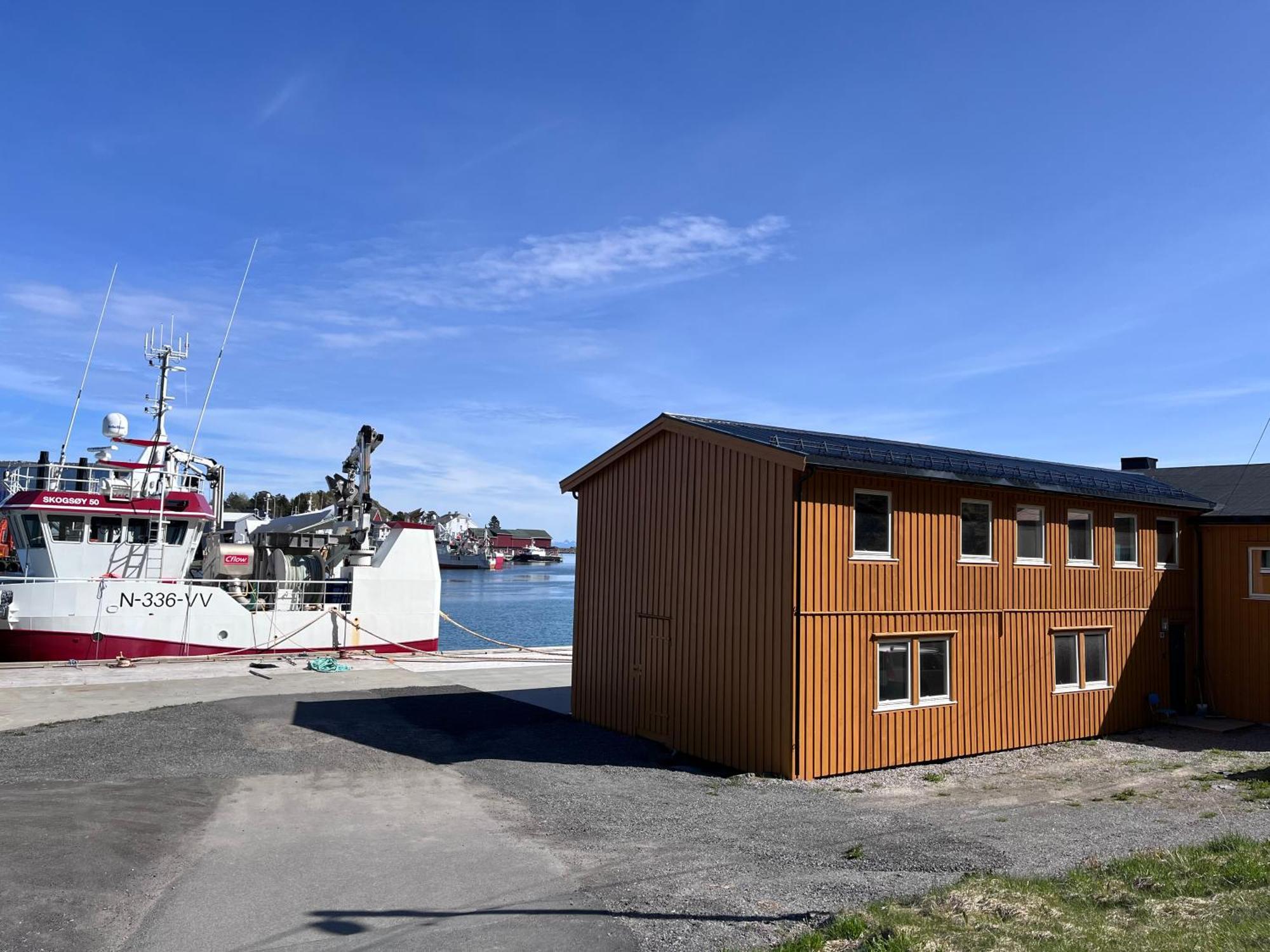 The Harbour House, Dorm And Twin, Selfservice Hostel Ballstad Bagian luar foto